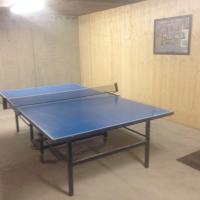 ping pong, location chalet valmorel salle de jeux billard baby foot